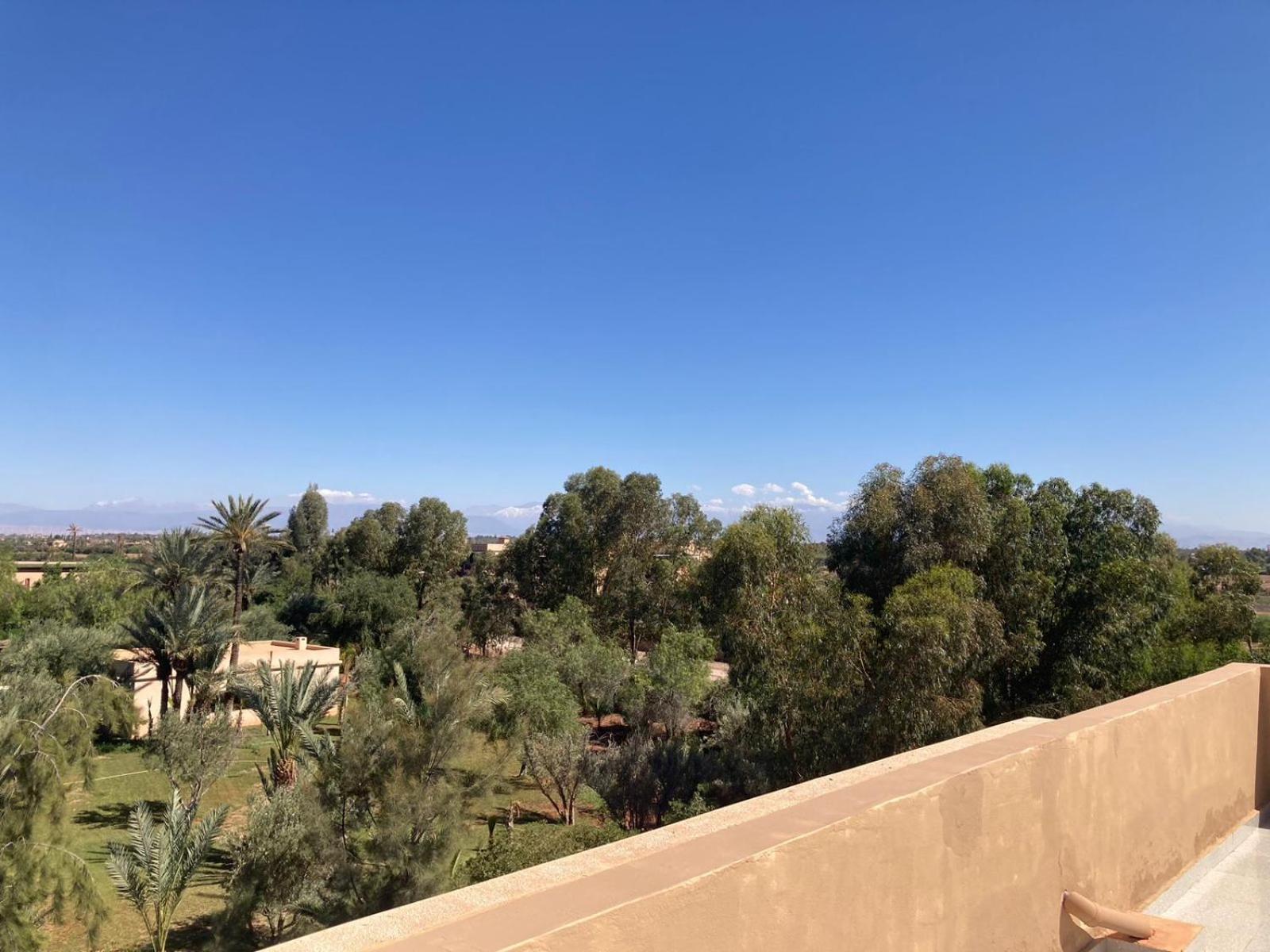 Family Palms Luxe Villa Marrakech With Private Pool Marrakesh Kamer foto